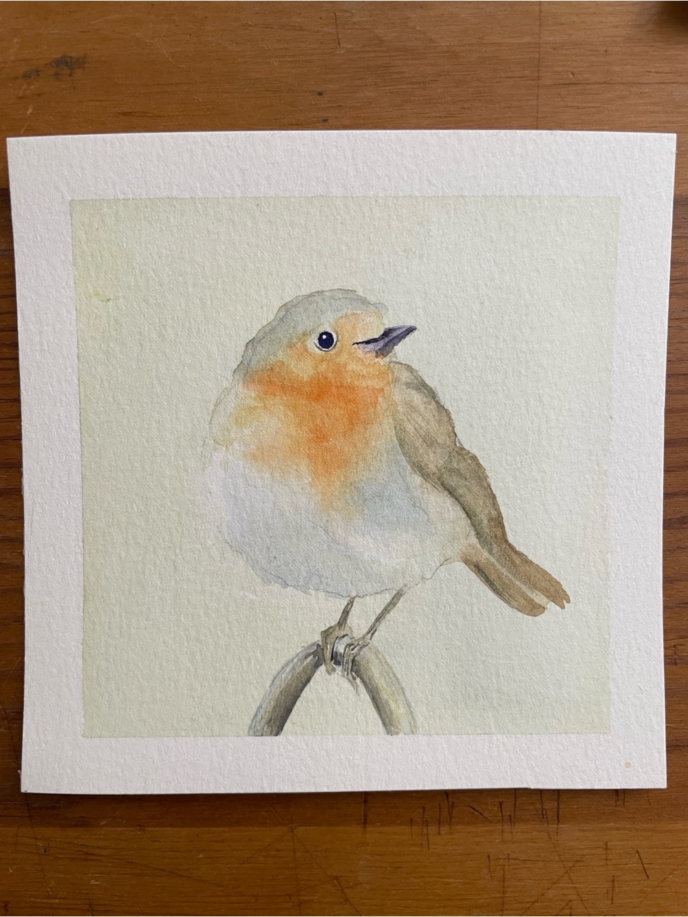 Original Hand-Painted Bird Watercolor - Robin